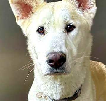 Photo of Effie