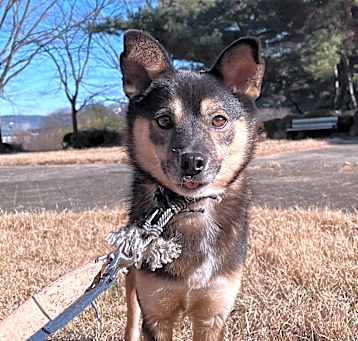 Photo of Namu