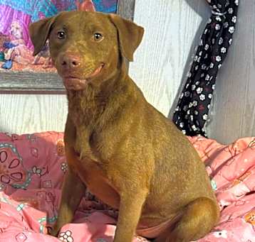 Photo of Rudy