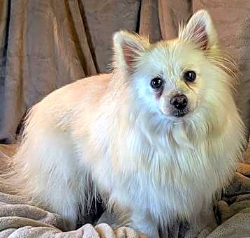 Photo of Snow White