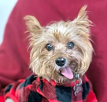 Photo of Tyko
