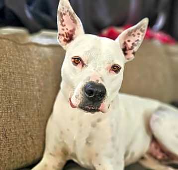 Photo of Max