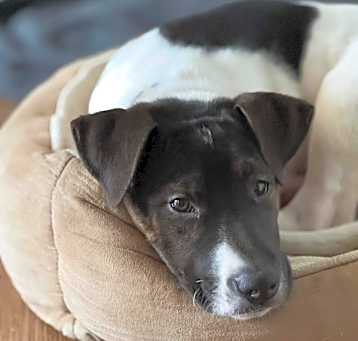 Photo of Betty
