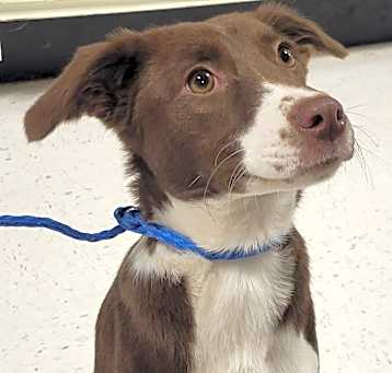 Photo of Winston
