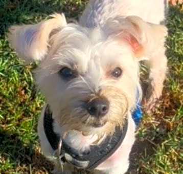 Photo of Wally