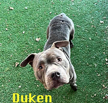 Photo of Duken