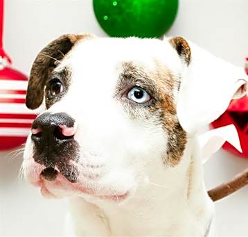 Photo of BUMBLE