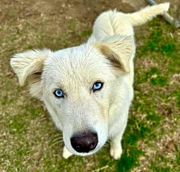 Photo of Finn