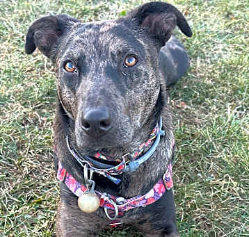 Photo of Remi - MA