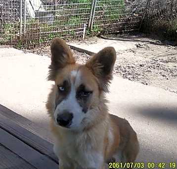 Photo of Linga