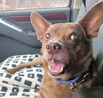 Photo of Cadbury