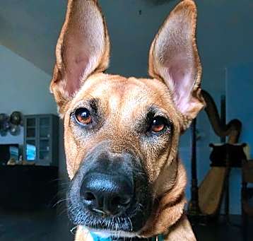 Photo of Juniper (New Digs)