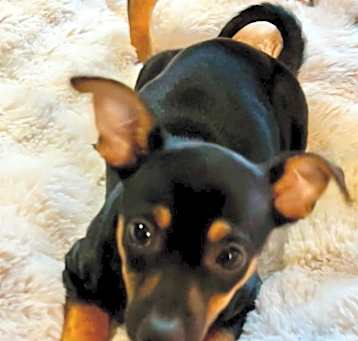Photo of Theodore
