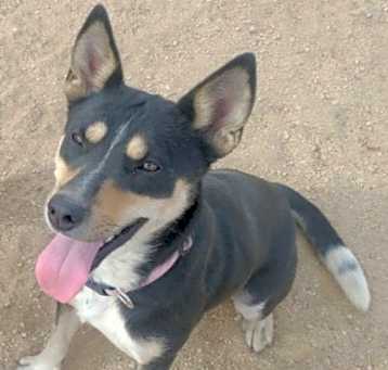 Photo of Cali