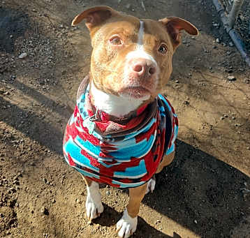 Photo of OTIS