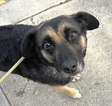 Photo of CHLOE