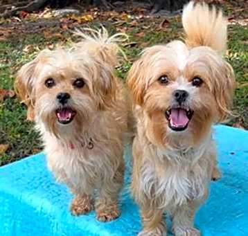 Photo of Vincent & Randall