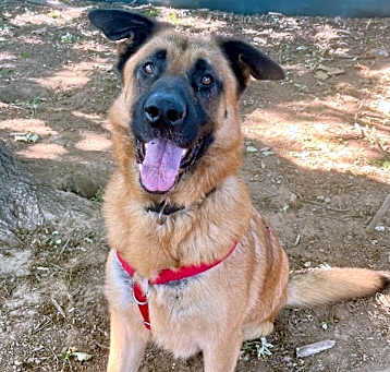 Photo of Champion