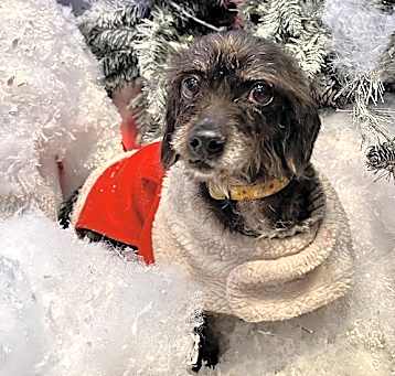 Photo of Winnie