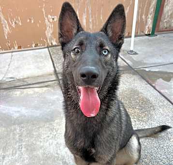 Photo of Zadie