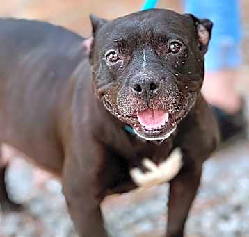 Photo of Pretty Girl