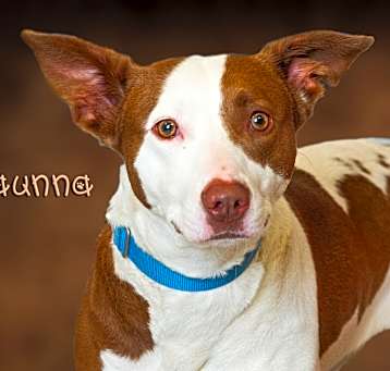 Photo of Haunna