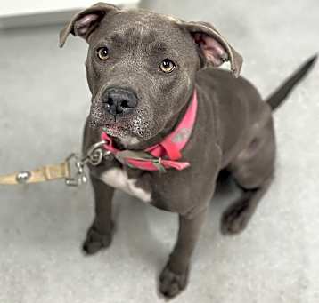 Photo of Missy