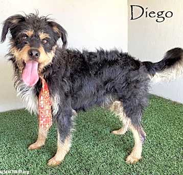 Photo of Diego
