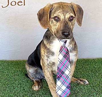 Photo of Joel