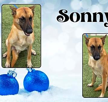 Photo of SONNY