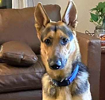 Photo of Ernie