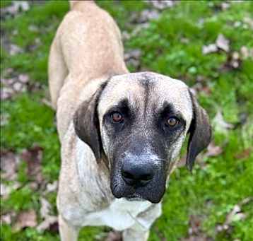 Photo of XENA