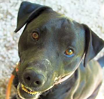 Photo of Bruce