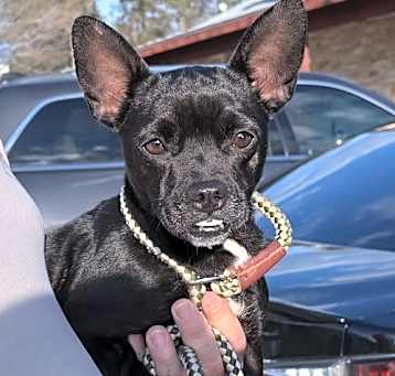 Photo of Bernadette