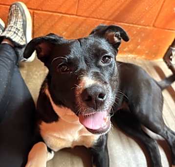 Photo of Susie