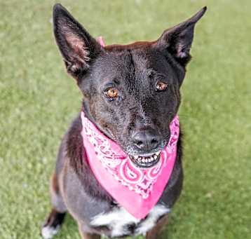Photo of STELLA