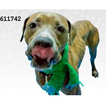 Photo of CASH