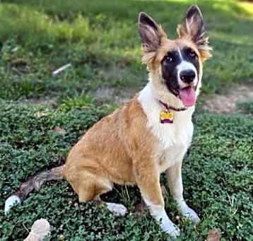Photo of Birdie