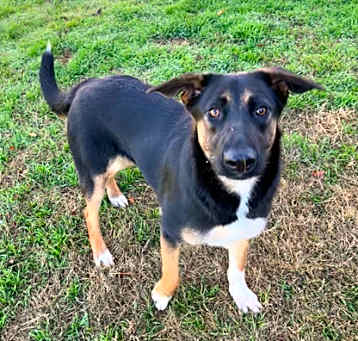 Photo of Kimber