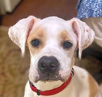Photo of Churro
