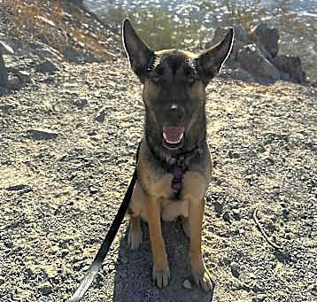 Photo of Kaia