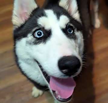 Photo of Winnie