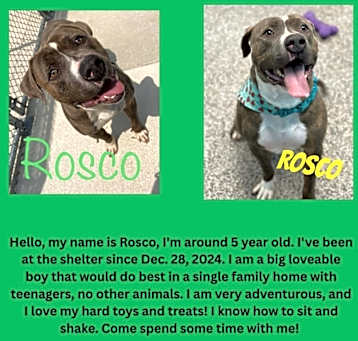 Photo of Rosco