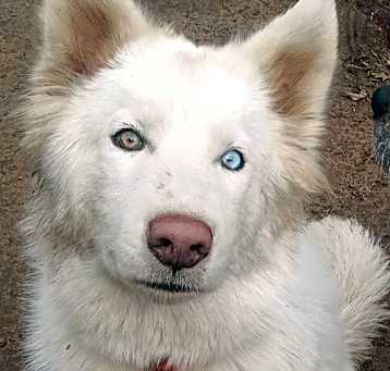 Photo of Whitney
