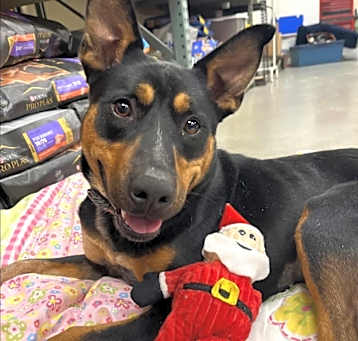 Photo of Cindy Lou