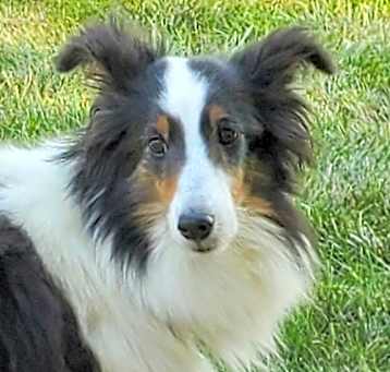 Photo of Emmy