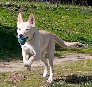 Photo of Astra