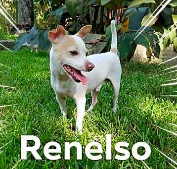 Photo of Renelso