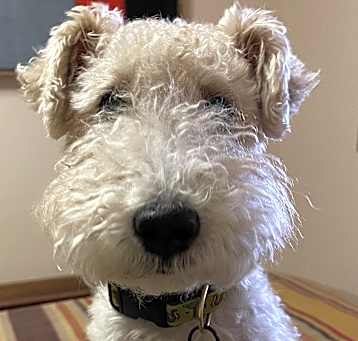 Photo of ARCHIE