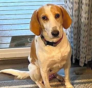 Photo of Dottie